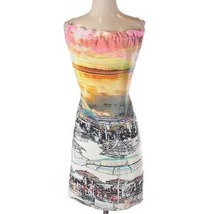 VGUC Amanda Uprichard Beach Print Dress Size P